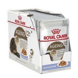 Royal Canin FHN AGEING +12 IN JELLY (85g x 12gab)