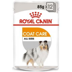 Royal Canin CCN COAT LOAF (85g x 12gab)