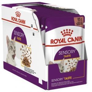 Royal Canin FHN SENSORY TASTE IN GRAVY (85gr x 12gab)