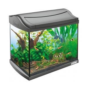 TETRA AquaArt Aquarium (черный) аквариум 100 литров